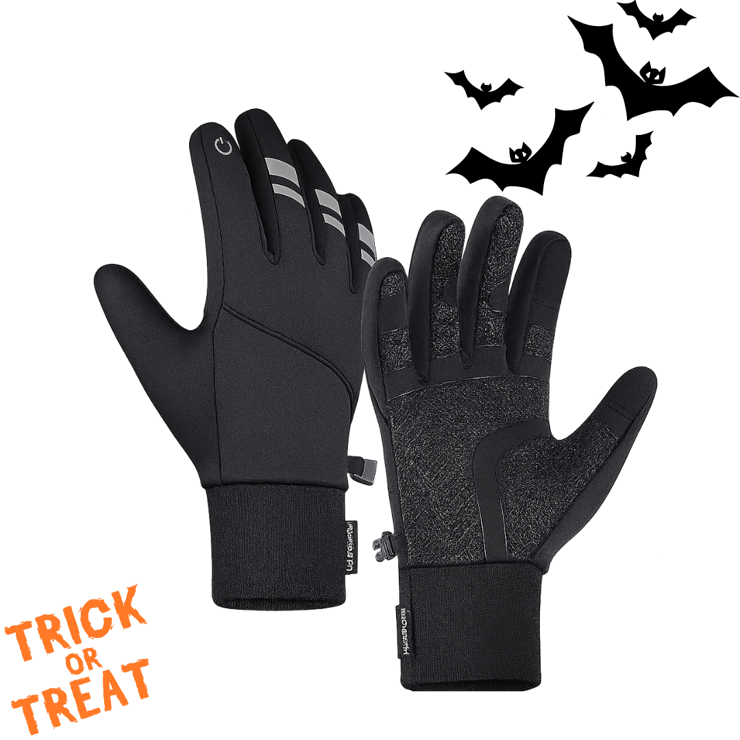 PolarPro Winterhandschoenen -10°