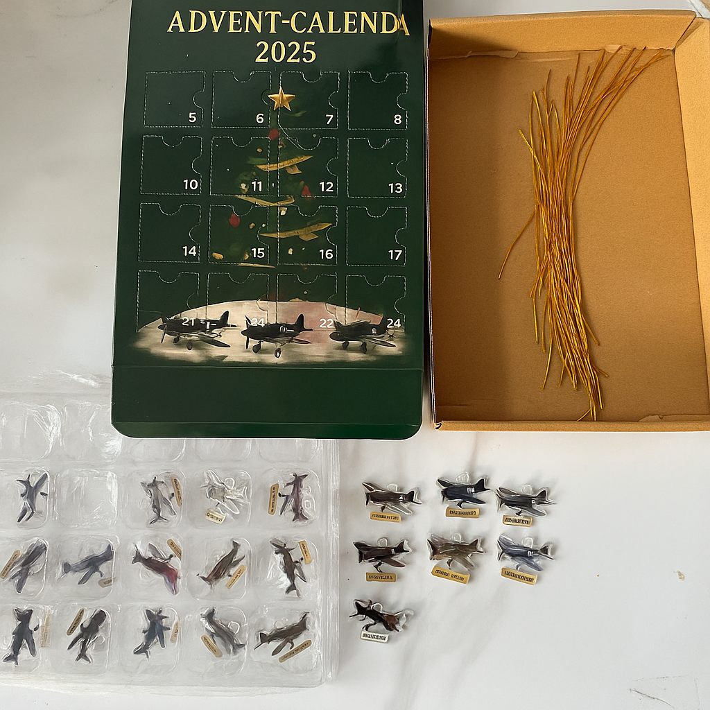 SurpriseBox 2025 – Adventskalender Blind Box